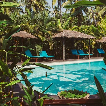 Devarya Wellness Beach Resort Morjim Eksteriør billede